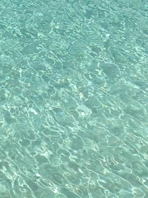 Villa Ker Iguane Terre De Haut Les Saintes Dış mekan fotoğraf