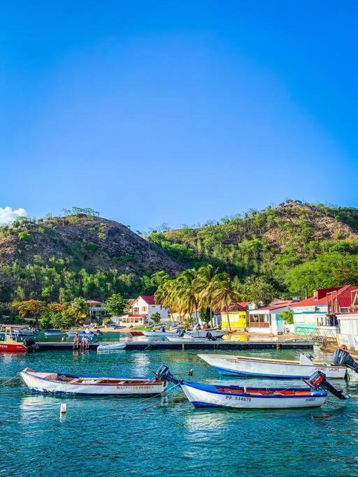 Villa Ker Iguane Terre De Haut Les Saintes Dış mekan fotoğraf